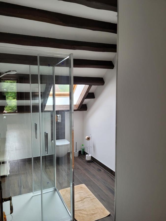 Maison Forte Perreuse Treigny Eksteriør bilde